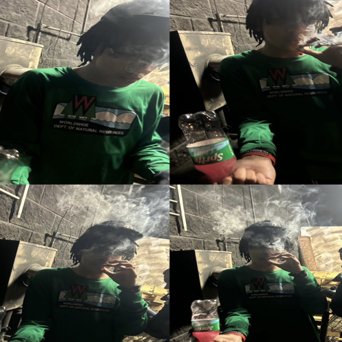SCHIZO prod functo8 talibands