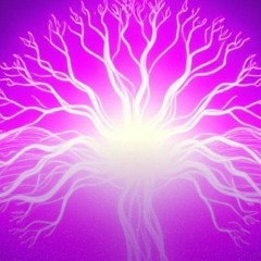 Frequencies magic touch