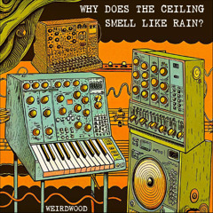 Why Does The Ceiling Smell Like Rain?