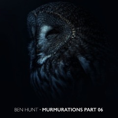 Murmurations Part 06