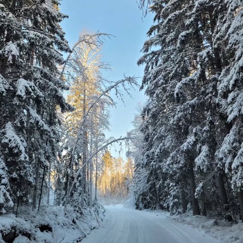 Cold Now (Prod. Tjuanzo)