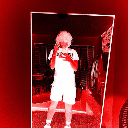 full speed w monteyolo