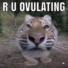 \(*o*)/
