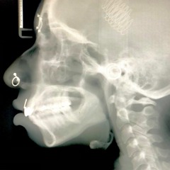 ANNIHILATRIX:: Protector Of The Deceased💀🔫