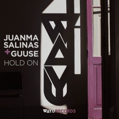 Premiere: Juanma Salinas, Guuse - Hold On (Original Mix)