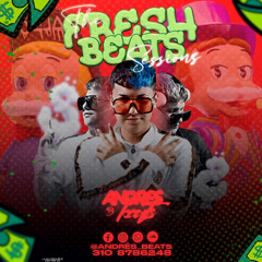 The Fresh Beats Sessions - Mixed By: Andres Beats
