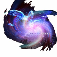 Turtle Tunes V.9