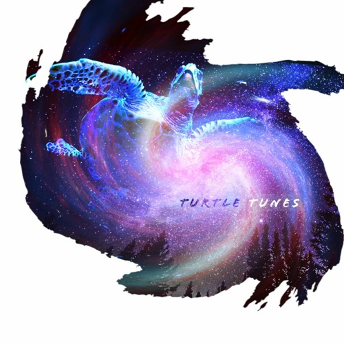 Turtle Tunes V.9