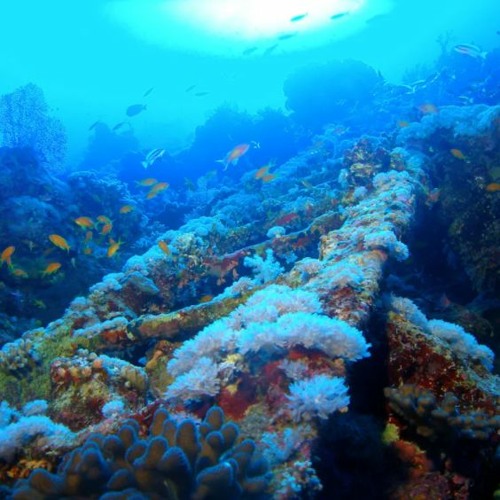 Stream Alain Duverne background loop (FREE DOWNLOAD) by (20112016