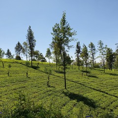 Mantissa Radio w/ Jambo on Resonance Extra - March 2021