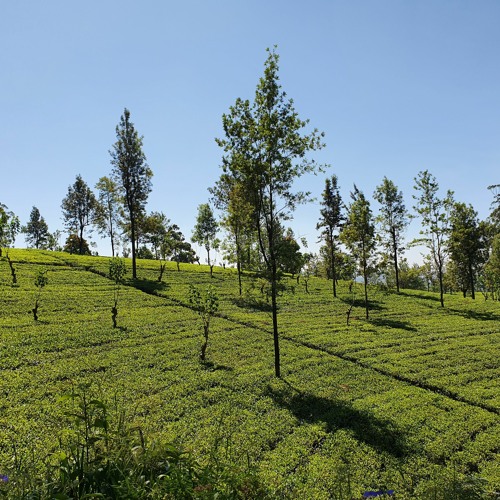 Mantissa Radio w/ Jambo on Resonance Extra - March 2021