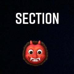 SECTION