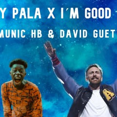Pico Y Pala X I´m Good (SEVI Mashup) - Munic HB & David Guetta