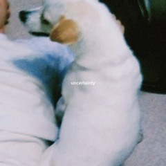 uncertainty