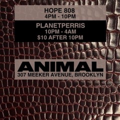planetperris + Live at ANIMAL + 02.08.25