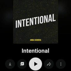 Andile - Intentional(sped up).mp3