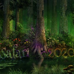 Safari 2020 Part1