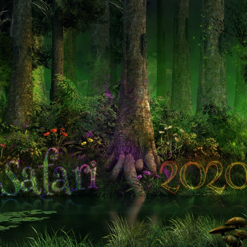 Safari 2020 Part1