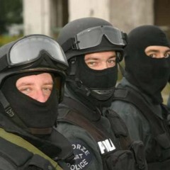 Sierra 7 Flash Game Soundtrack Main Menu Theme