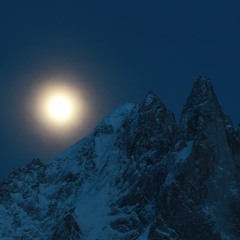 Night OWL- 14:06:2020, 22.43