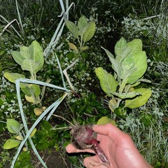 Walkin' Away (prod. yabob)