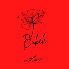 iLee - Bukele
