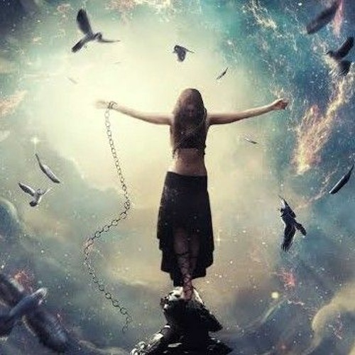 🍄Symphony of Life