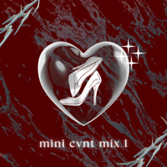 mini cvnt mix 1