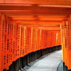 Review Special Price Kyoto Day Trip Using Private Car With English Driver Up To 5