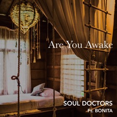 Are You Awake - Soul Doctors Ft. Bonita