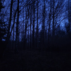 what does life have left for me