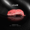 下载视频: Leandro Da Silva - So Crazy Again