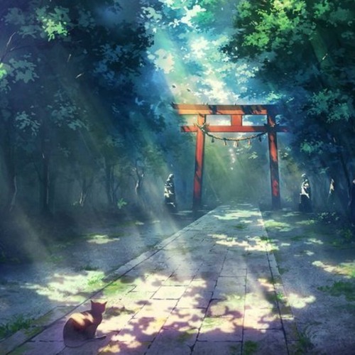 asuzora - Shadows of Summer (夏の影)