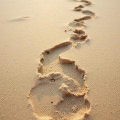 Footprints In The Clay (One Step At A Time)