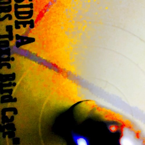Reanimators - Toxic Bird Cage (Oxytoxin Mix By DJDHD)