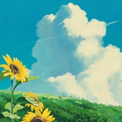sunshine holiday