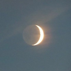 Techno Beat (Anastasia Dii Remix)