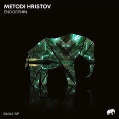 Metodi Hristov - Endorphin (Original Mix) [SET ABOUT]