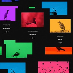 Bullfinch Playlist [Best Tracks From Bullfinch Label]