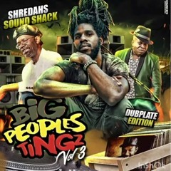 Big Peoples Tings Vol III (Dj Shredah)