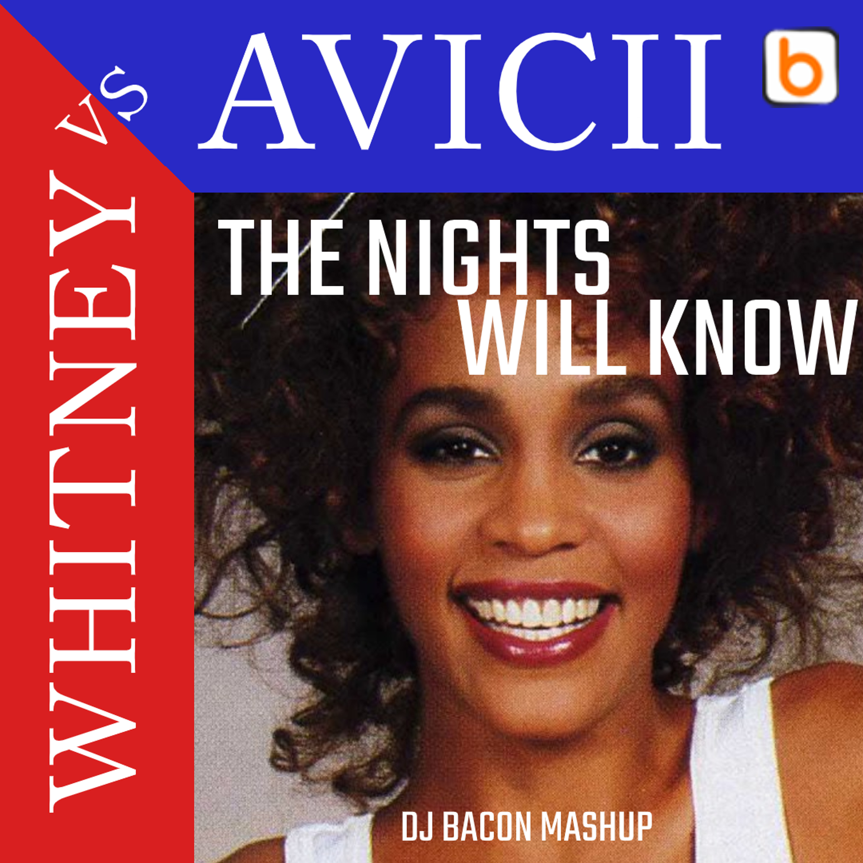 Whitney Houston vs Avicii - The Nights Will Know (Dj Bacon Mashup) episode artwork