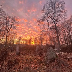 дождь - sqwiij (prod. swiftplugg!)