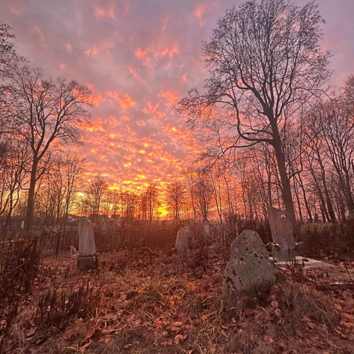 дождь - sqwiij (prod. swiftplugg!)