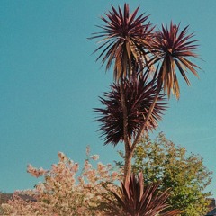 The Bells Chime For Christmas Time