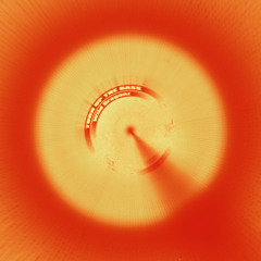 Turn Up The Bass - WildDragonz