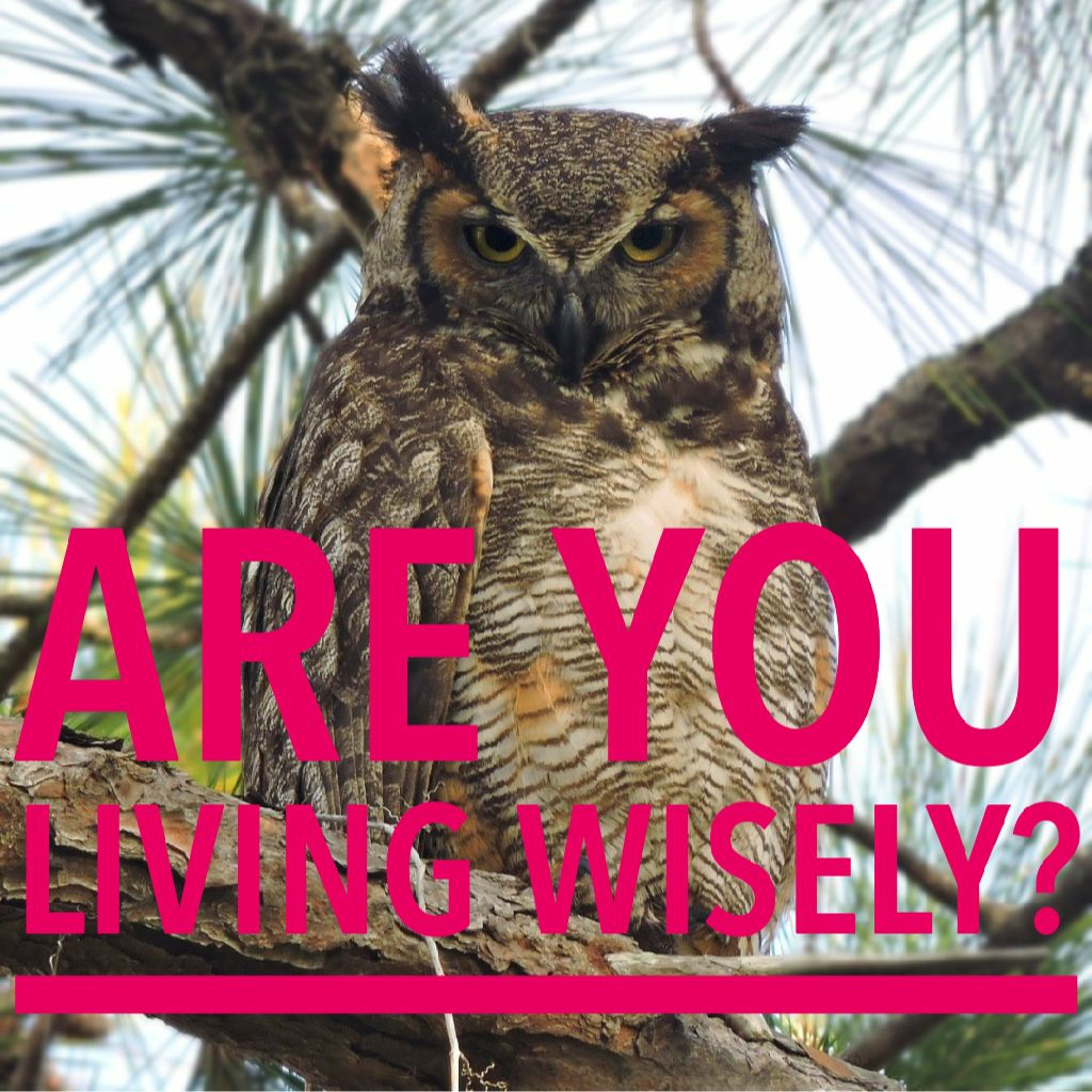 3/19/23 - Are You Living Wisely? episode artwork