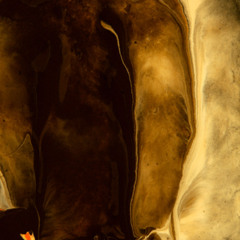 Peter Yovu reads "The Artist"