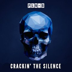 Crackin' the Silence