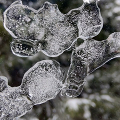 The Moon waits in the Twilight (FREE DL)