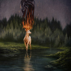 Dirtwire - Spotify Playlist